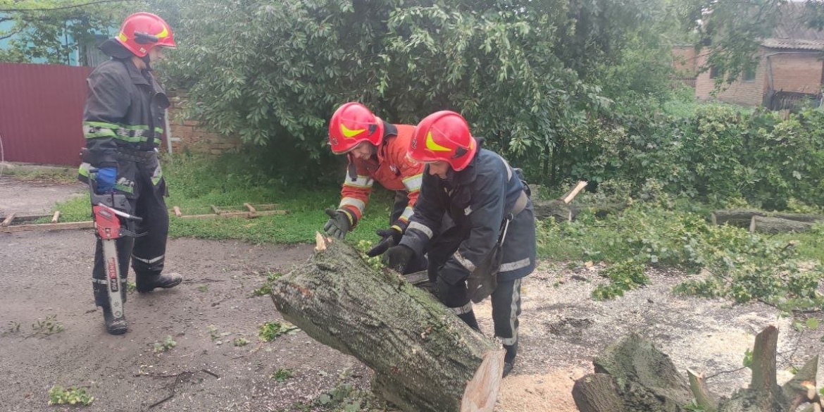 У Вінниці рятувальники прибрали дерево, яке впало на лінію електропередач