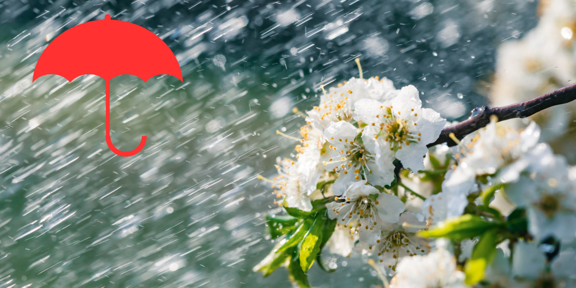У Вінниці в суботу, 6 квітня, попереджають про короткочасний дощ