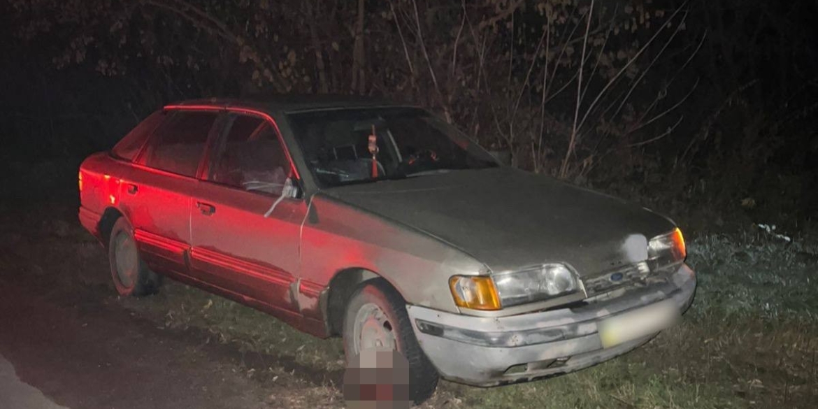 У Вінницькому районі під колеса автомобіля Ford потрапила 81-річна жінка