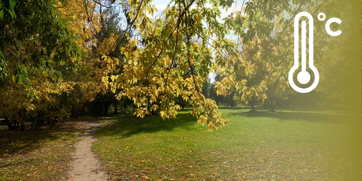 У Вінниці 1 вересня спека трохи ослабне, а в області - короткочасні дощі