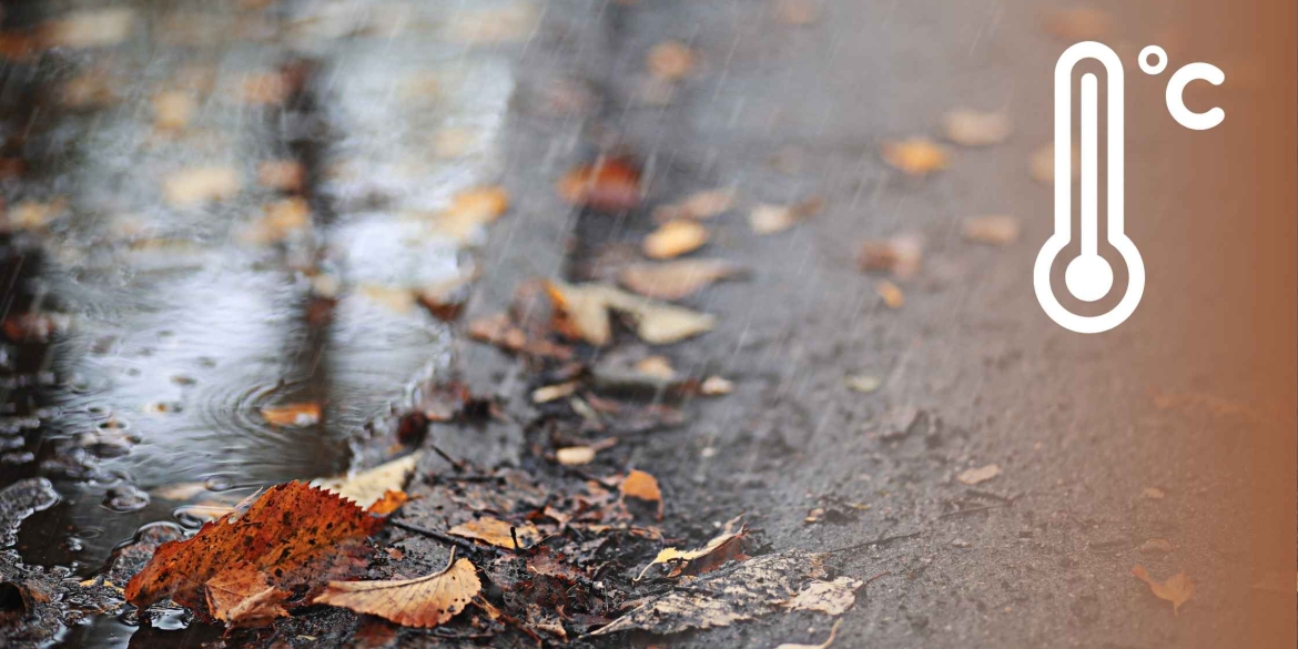 У Вінниці 11 листопада вночі та вдень дощитиме та хмаритиметься