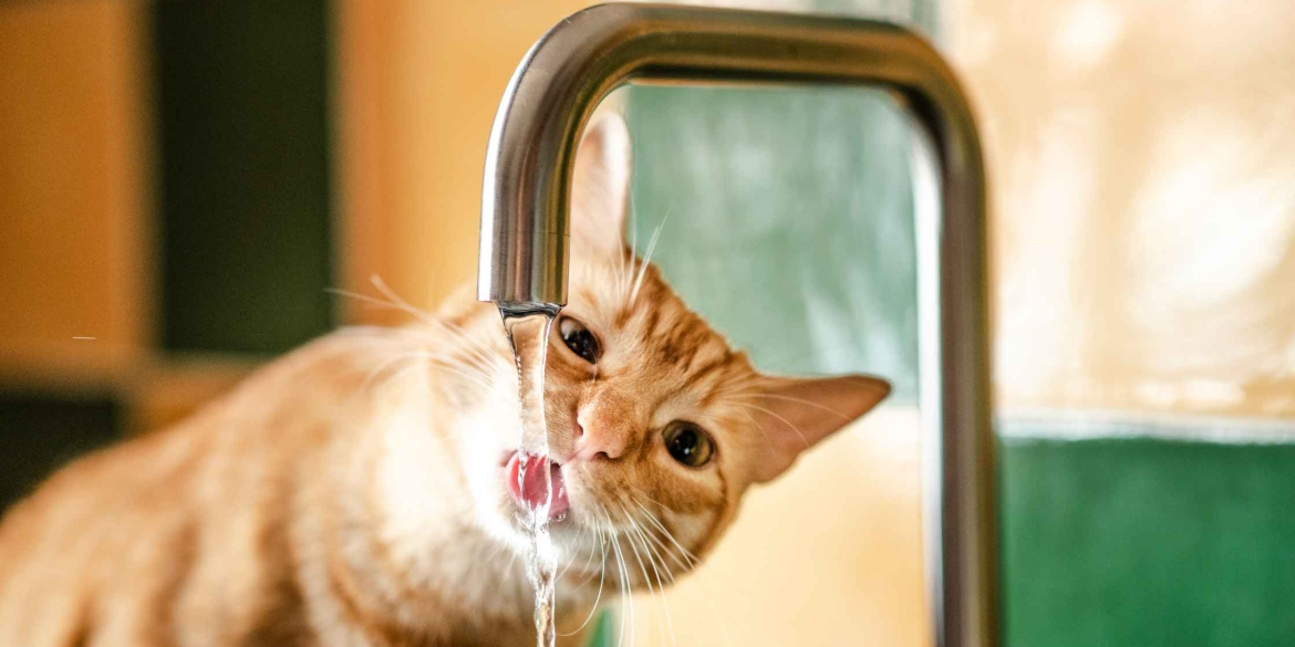 У Вінниці 16 липня припинять водопостачання на 18 вулицях і провулках