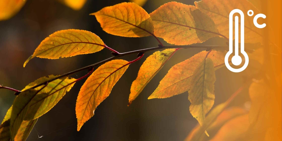 У Вінниці 16 листопада вдень - невеликий дощ і хмарно