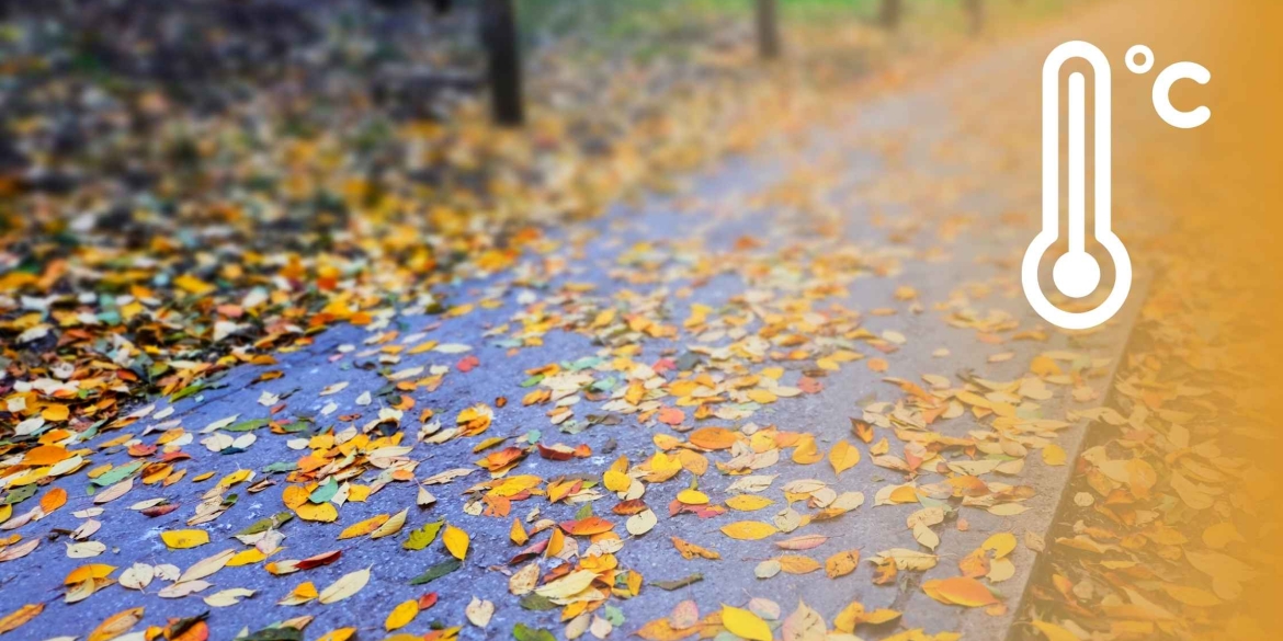 У Вінниці 22 листопада невеликий дощ, хмарно