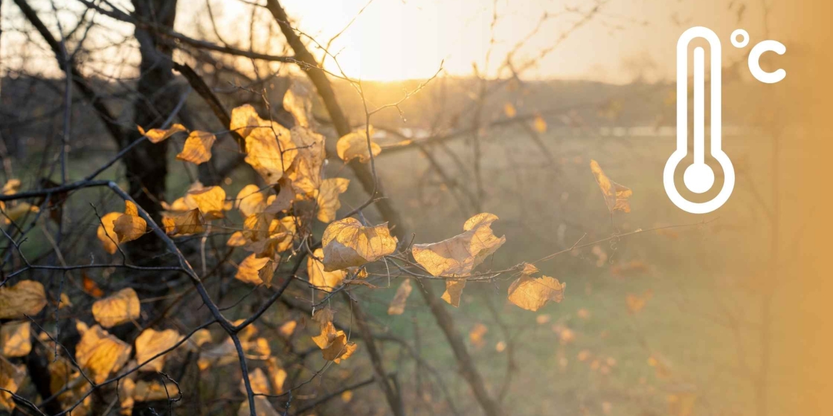У Вінниці 25 листопада синоптики обіцяють вдень до шести градусів тепла