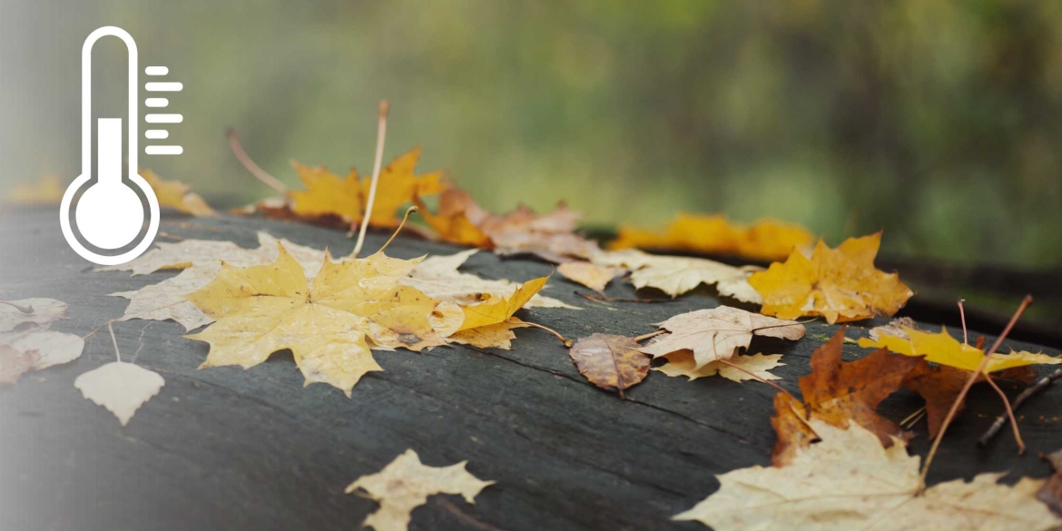 У Вінниці 25 вересня прогнозують по-осінньому холодну погоду
