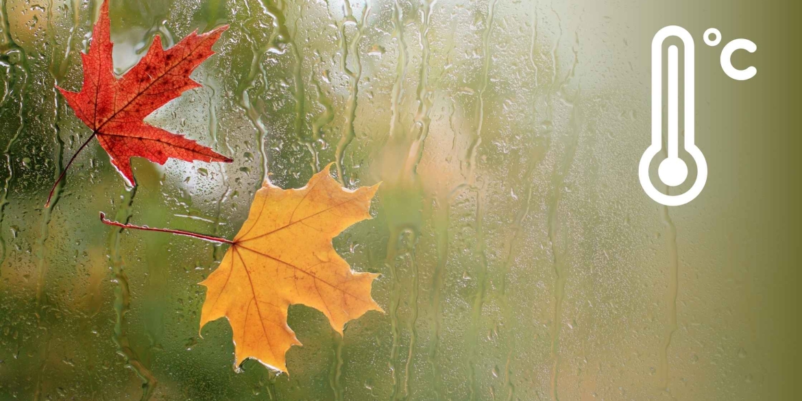У Вінниці 27 листопада вдень обіцяють дощ і до дев'яти градусів тепла