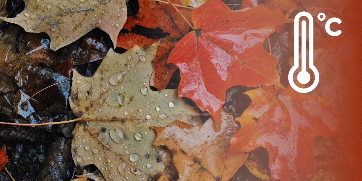 У Вінниці 4 грудня синоптики обіцяють невеликий дощ і хмарність