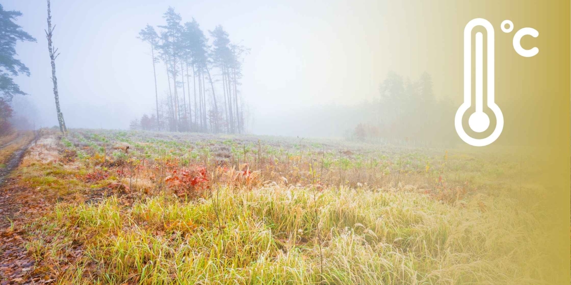 У Вінниці 9 грудня буде хмарно, без опадів, вдень 3-5° тепла