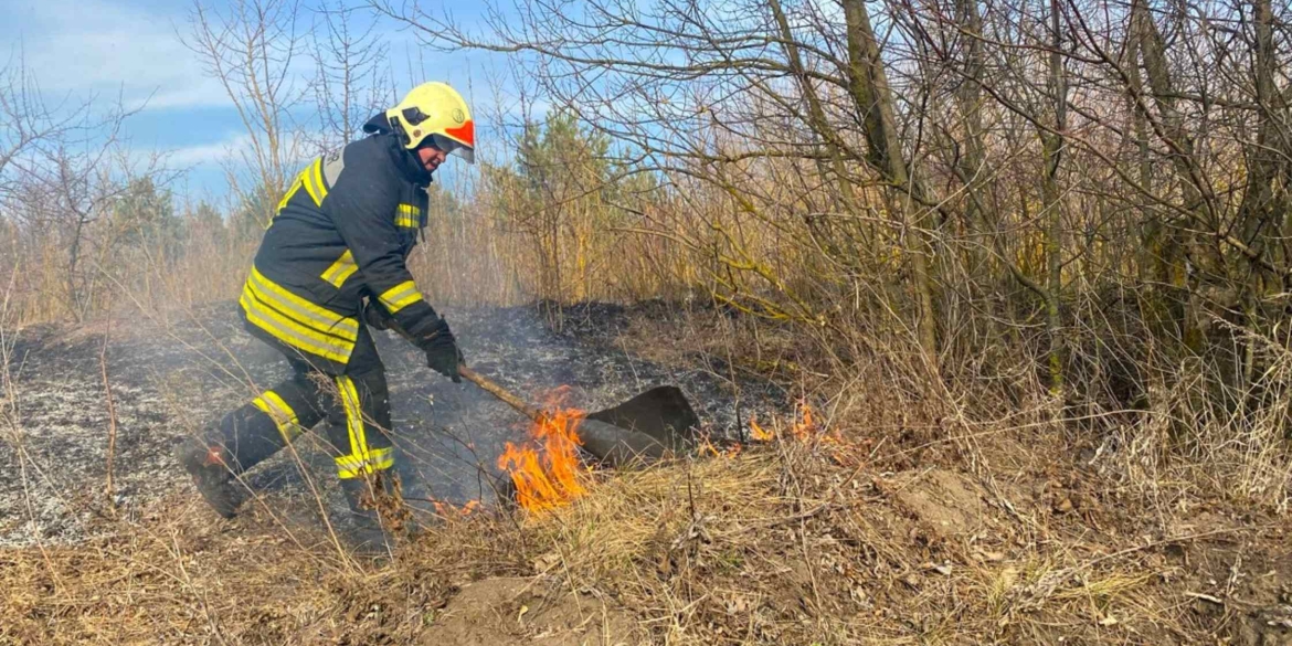 У Вінниці горілі екосистеми на площі у 57 гектарів