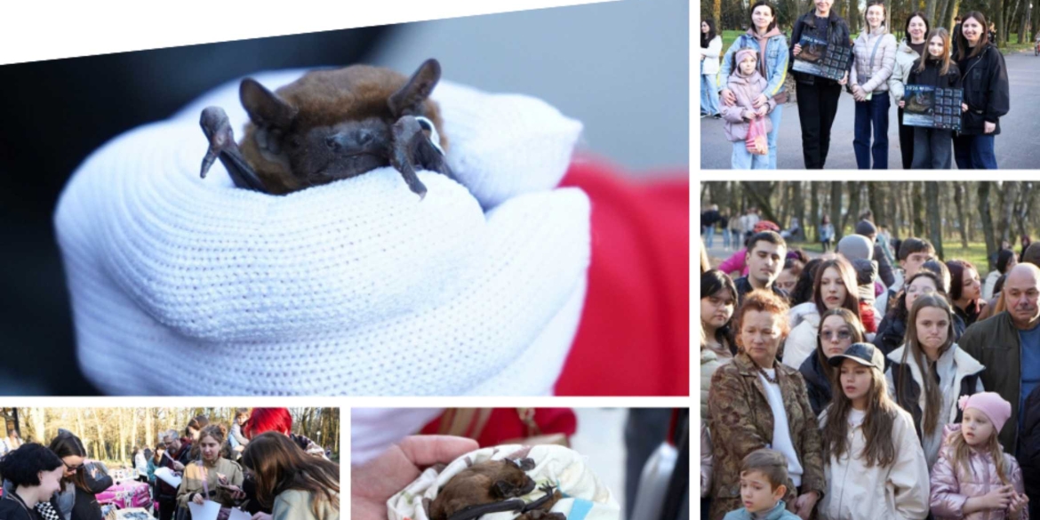 У Вінниці на волю випустили кажанів після зимової реабілітації