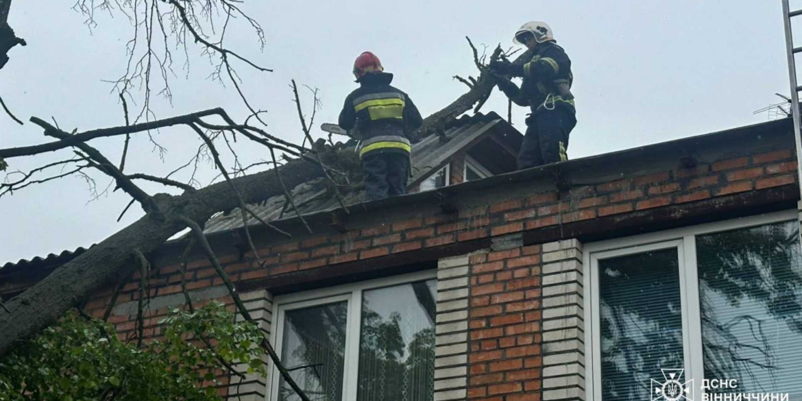 У Вінниці негода повалила дерева на двоповерхівку та проїжджу частину