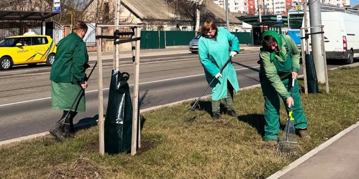 У Вінниці почали встановлювати мішки для поливу молодих дерев