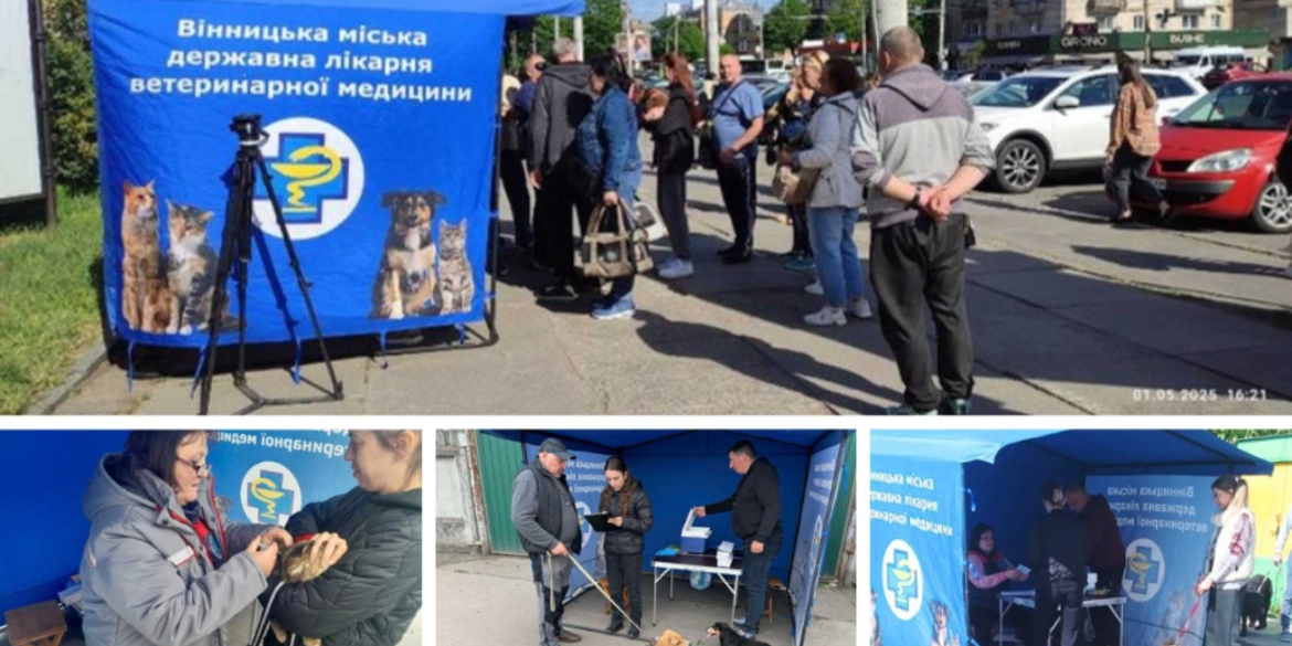 У Вінниці проводять кампанію з вакцинації домашніх тварин від сказу