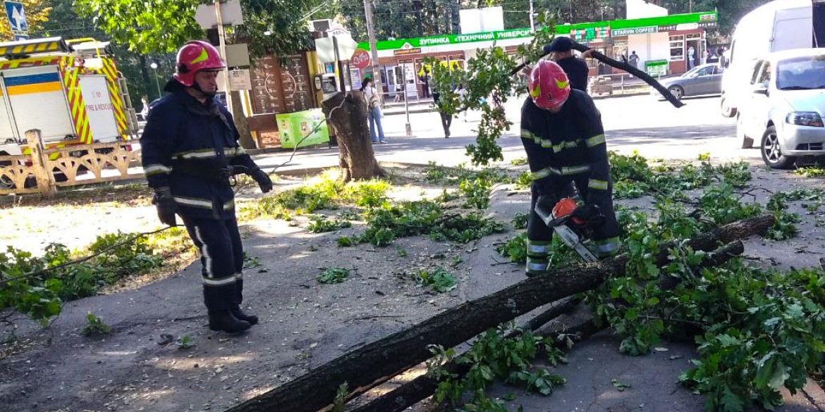 У Вінниці прямо посеред вулиці, неподалік районної лікарні впало дерево