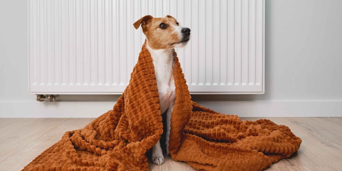 У Вінниці призупинять на добу опалення у 19 будинках