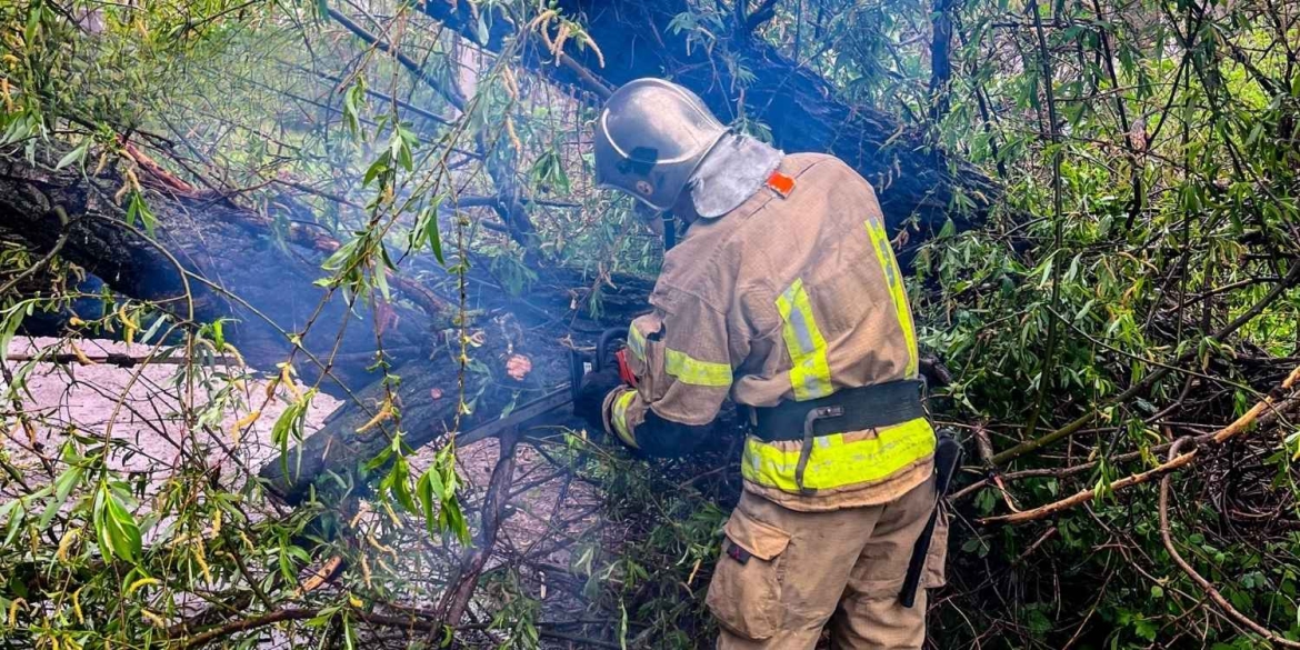 У Вінниці рятувальники звільнили проїжджу частину від поваленого дерева