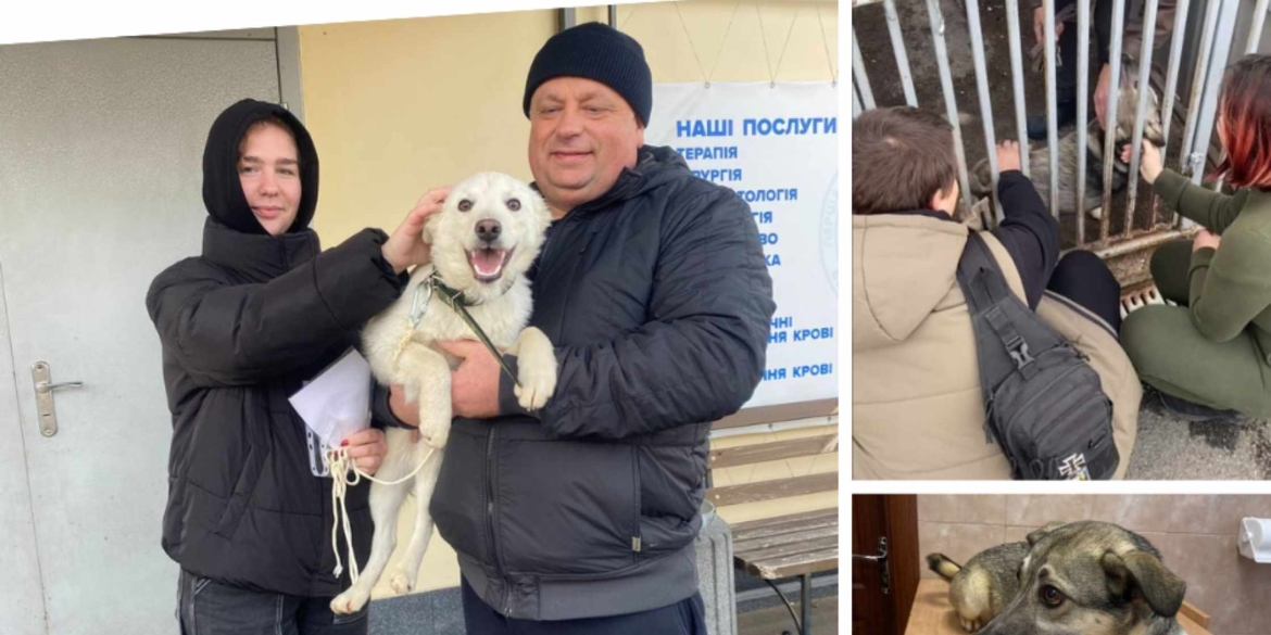 У Вінниці собаки з муніципального притулку знаходять нових господарів