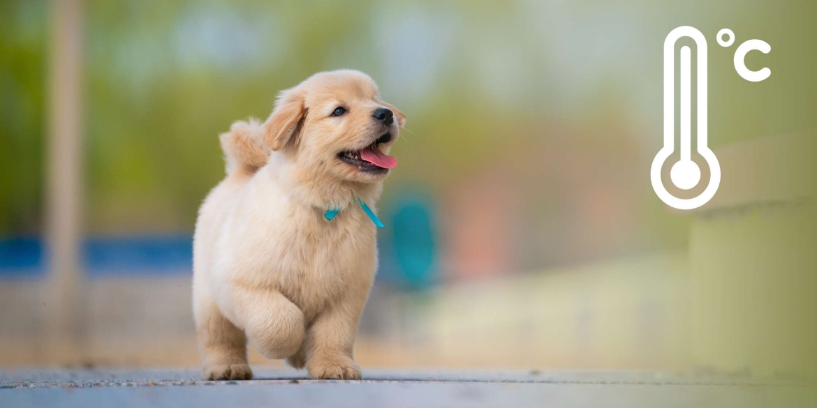 У Вінниці стане ще тепліше, а на сході України задощить і захмариться