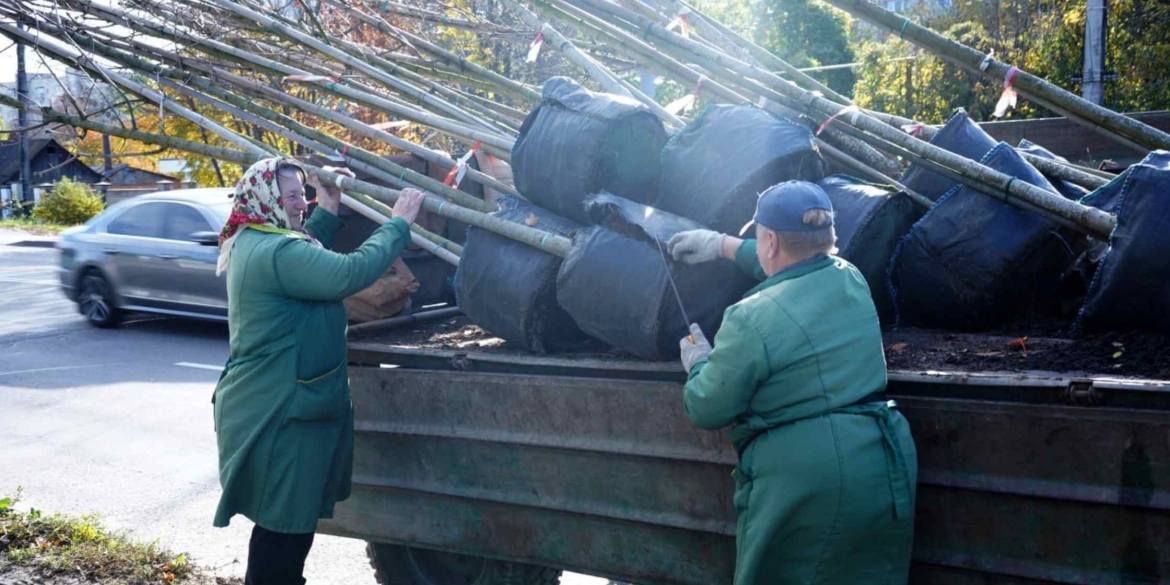 У Вінниці стартувала осіння висадка дерев та кущів - кленів, платанів, дубів і бірючини У Вінниці стартувала осіння висадка дерев та кущів - кленів, платанів, дубів і бірючини