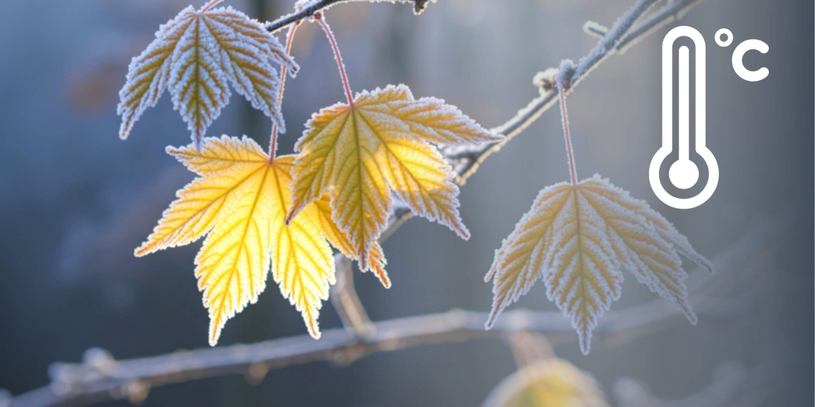 У Вінниці та області 6 грудня вночі будуть відчутні морози