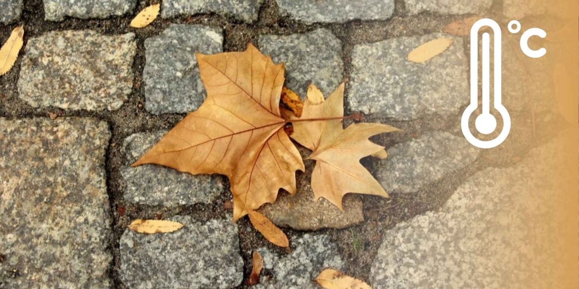 У Вінниці та області синоптики 28 листопада обіцяють перший мокрий сніг