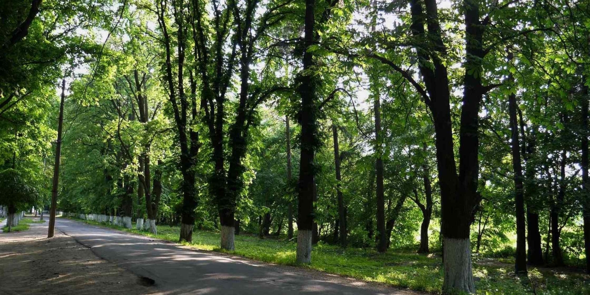 У Вінниці триває розвиток природно-заповідних територій в межах Зеленого курсу