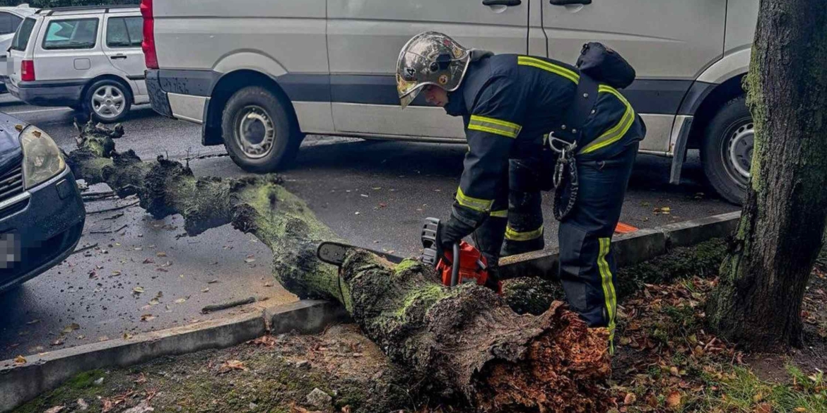 У Вінниці, Тульчинські та Іллінецькій громаді негода валила дерева