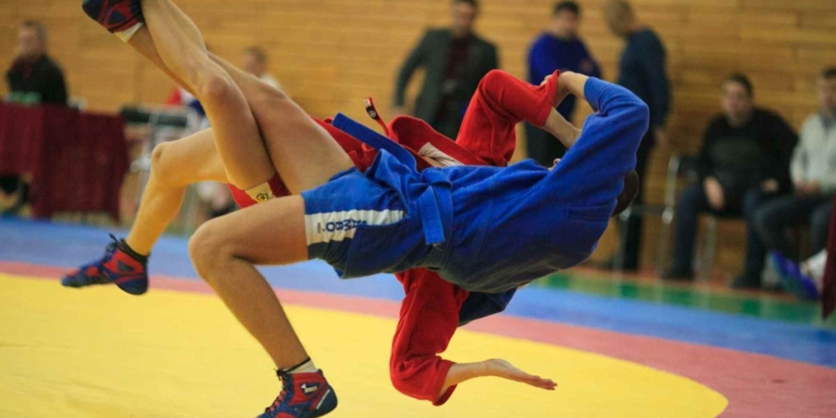 У Вінниці відбудеться благодійний турнір «Ліга Професійного Самбо 6.0» 