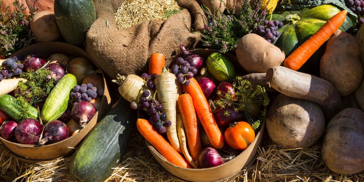 У Вінниці влаштують виставку-ярмарок продукції підприємств харчової промисловості