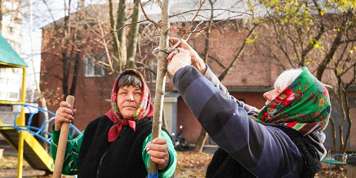 У Вінниці висадять пів тисячі дерев в рамках осінньої кампанії з озеленення