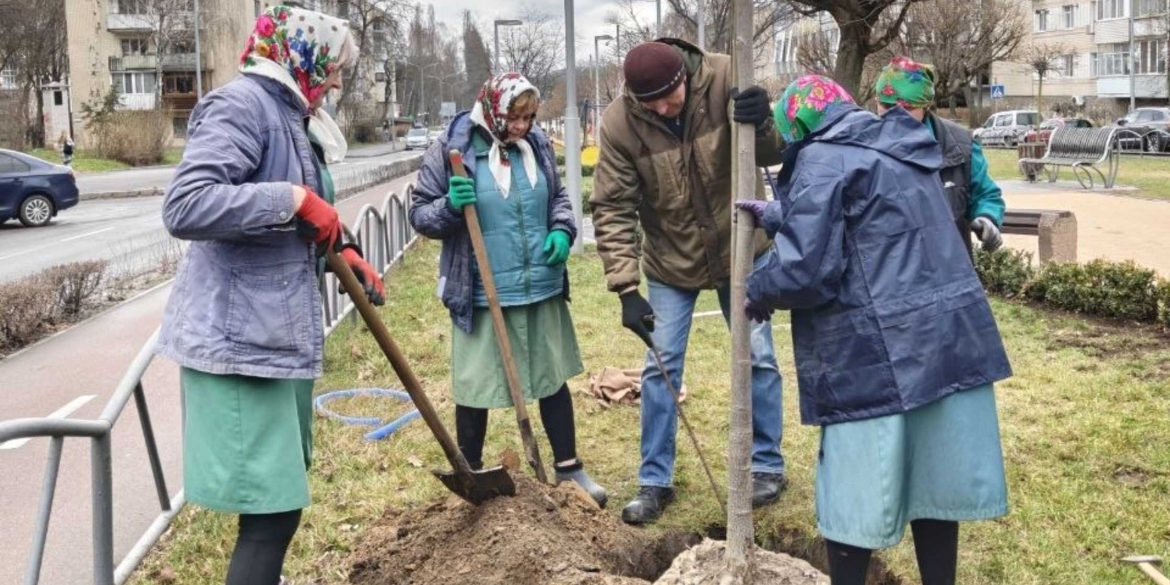 У Вінниці висадили тюльпанові дерева та пекінський бузок на проспекті Космонавтів