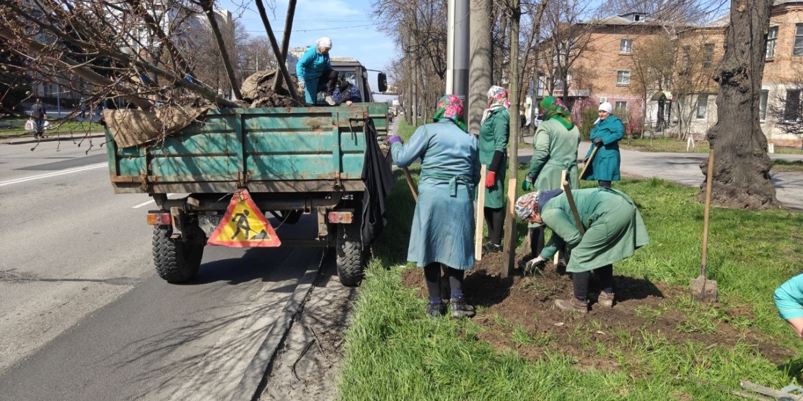 У Вінниці висаджують нові дерева на Хмельницькому шосе
