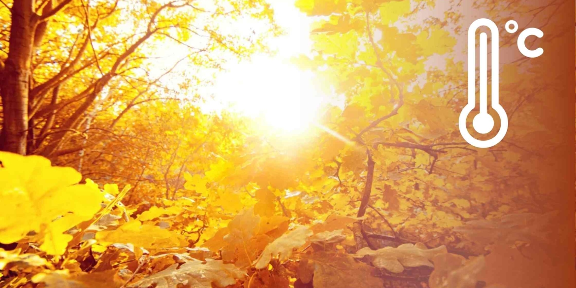 У Вінниці й надалі утримається тепла та суха погода