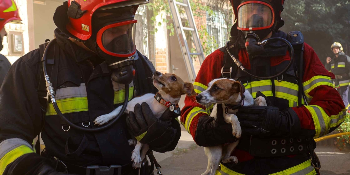 У Вінниці за задимленого приміщення врятували двох песиків і кішку