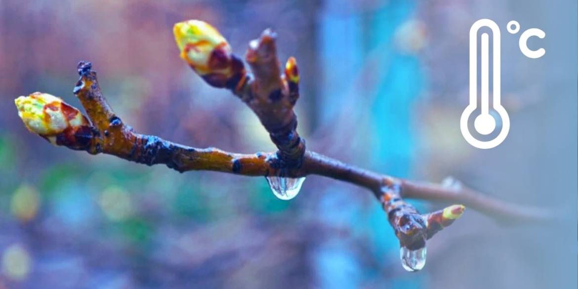 У Вінниці задощить, синоптики попереджають про мінливість погоди