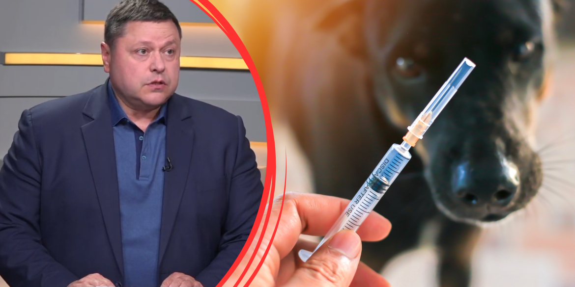 У Вінниці завершується компанія з вакцинації домашніх тварин