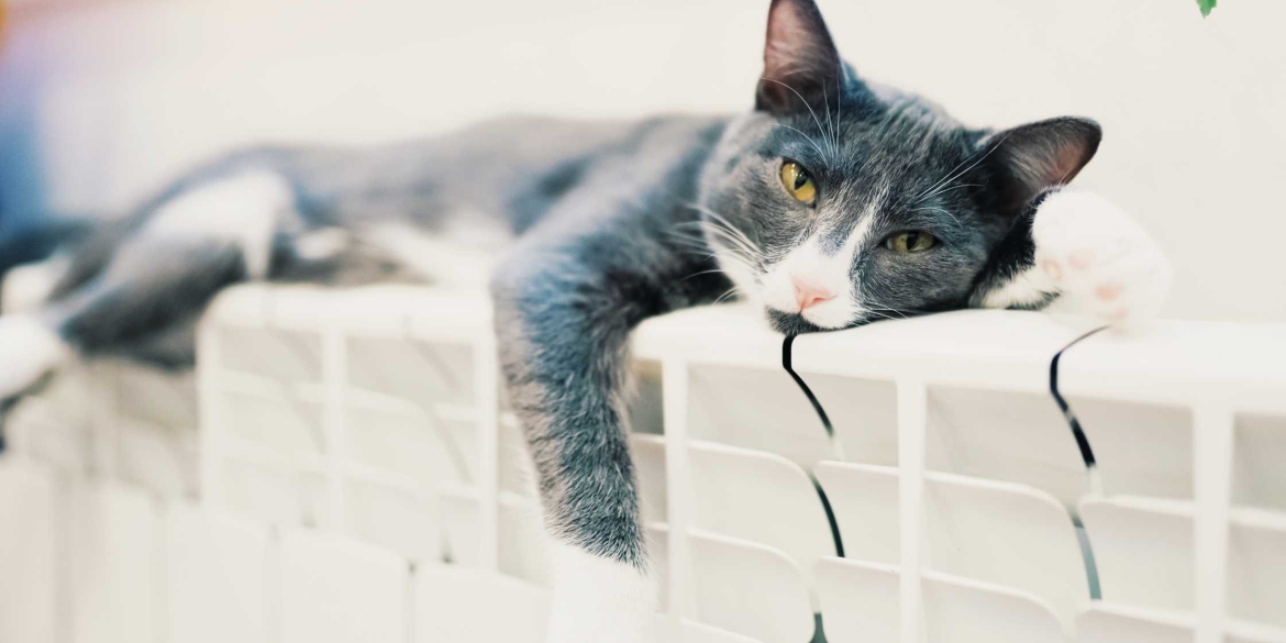 У Вінниці завершується процес запуску опалення в багатоповерхівки У Вінниці завершується процес запуску опалення в багатоповерхівки