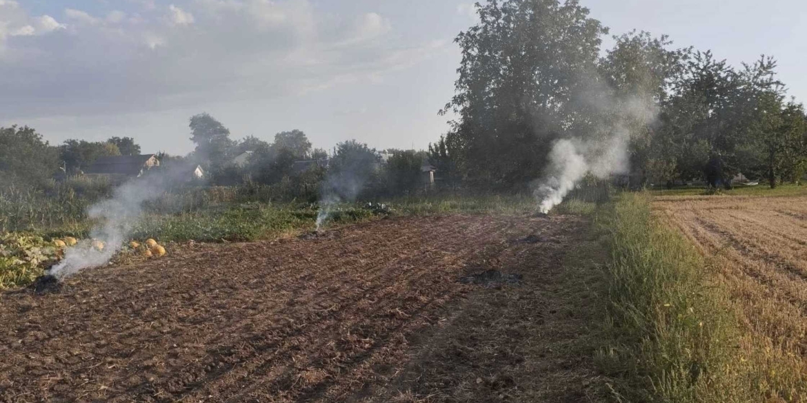 У Вінницькій громаді склали протоколи на паліїв відходів рослинного походження