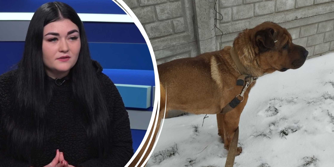 у Вінницькому муніципальному притулку 72 собаки чекають на родину