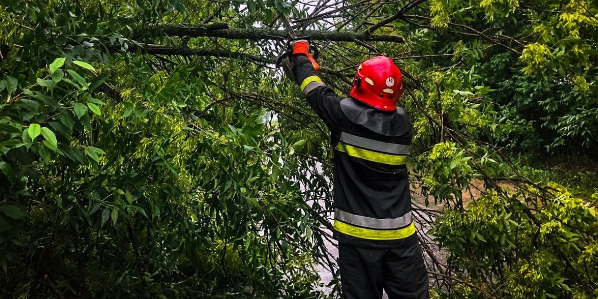 У Вінницькому районі рятувальники прибирали повалені вітром дерева