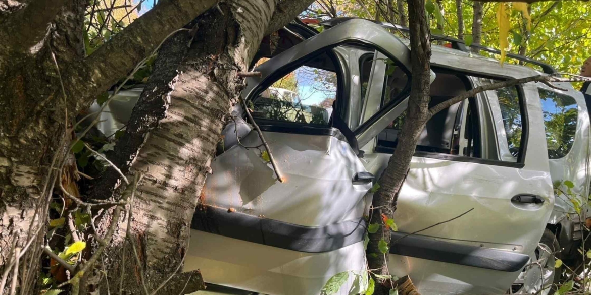 У Вінницькому районі в аварії травмувались пасажири авто - мати та 9-річна дитина