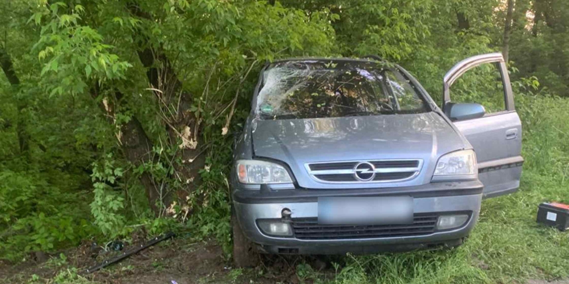 У Вінницькому районі в ДТП постраждала 23-річна пасажирка мінівена