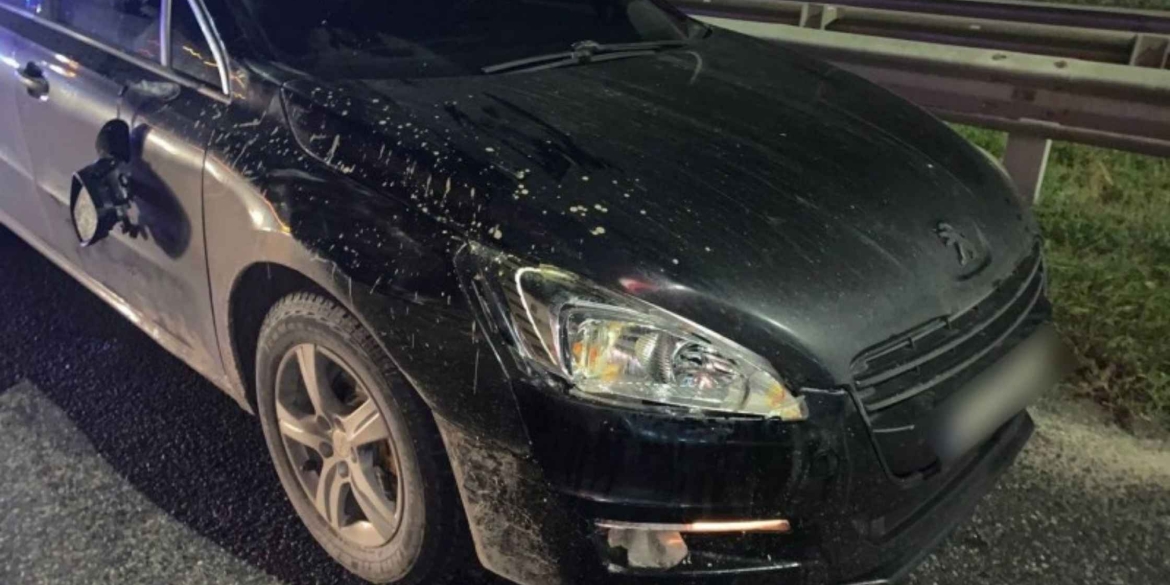 У Вінницькому районі водій збив двох чоловіків, які переходили вулицю