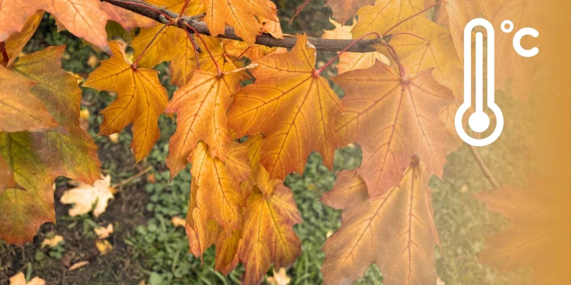 У Вінницю нарешті прийде помітне потепління, до 16 градусів тепла У Вінницю нарешті прийде помітне потепління, до 16 градусів тепла