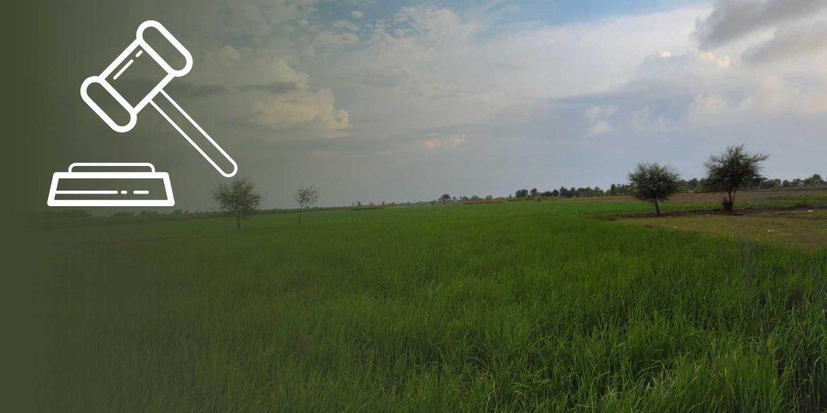 У власність держави повернули 203 гектари дослідницьких земель в Іллінецькій громаді