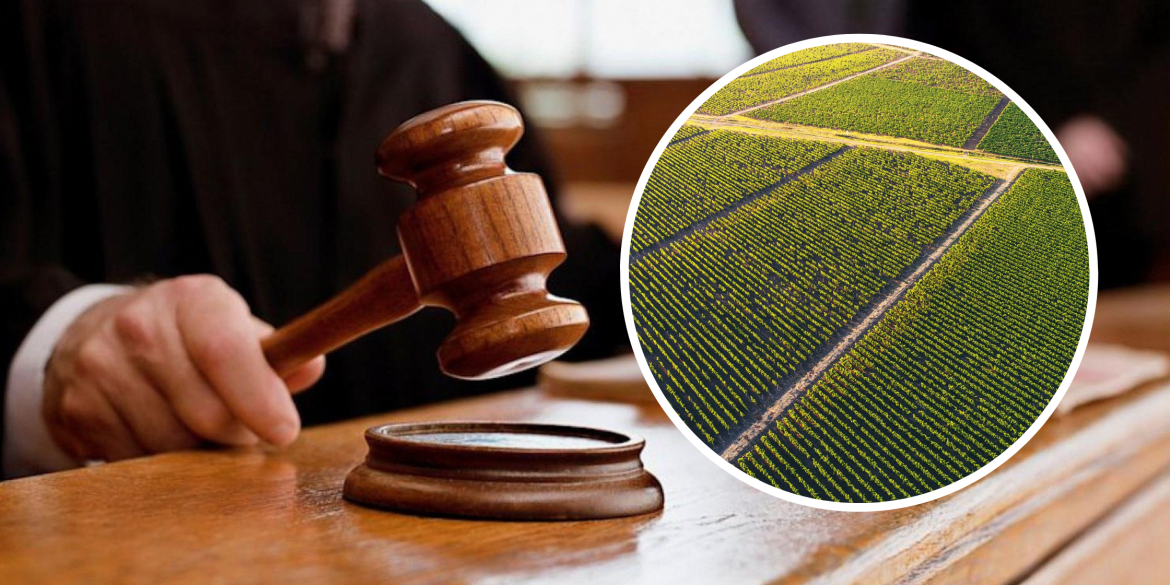 У власність Літинської сільради повернули незаконно приватизовані землі