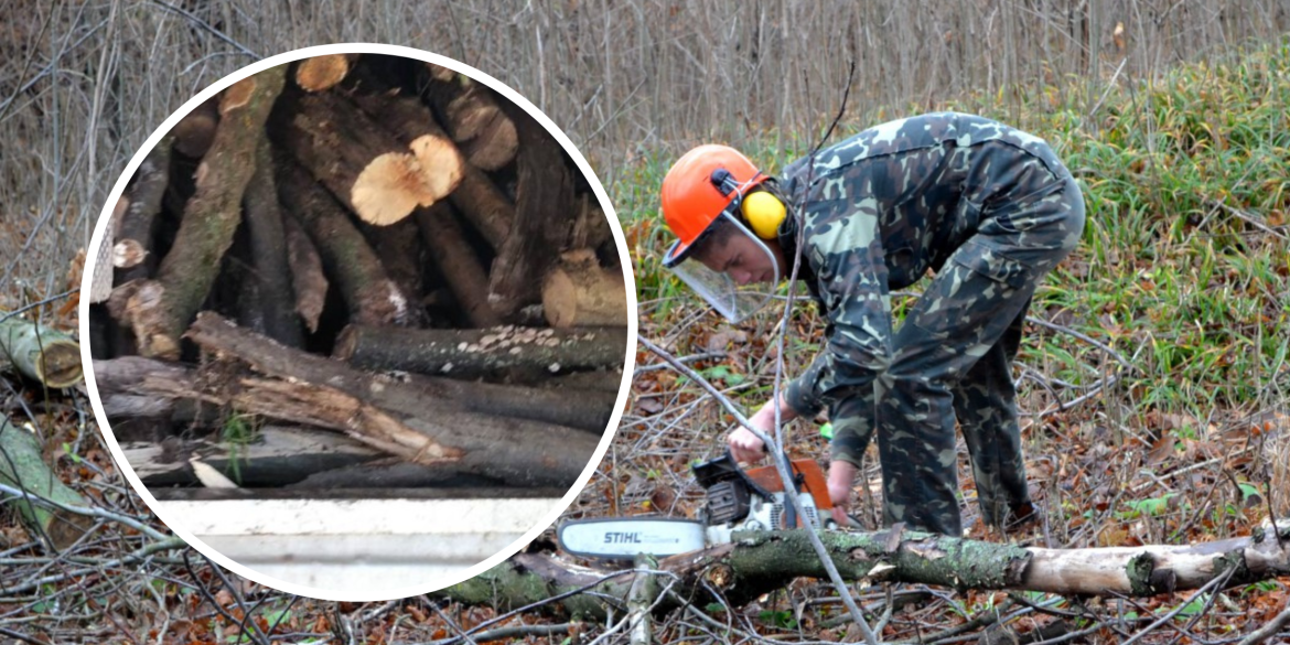 У Жмеринському районі екологічні інспектори спіймали "чорних" лісорубів