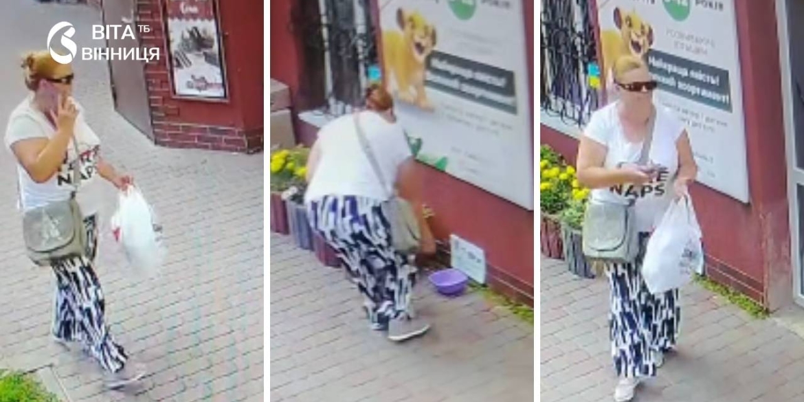 У Жмеринці жінка вкрала мисочку з водою для безпритульних тварин