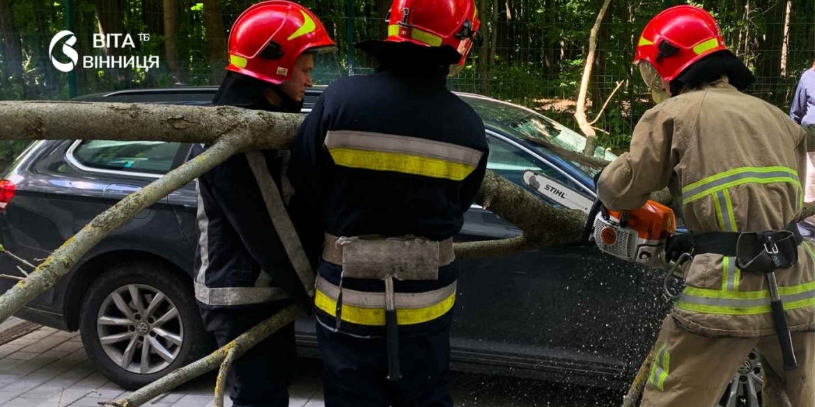 Удар стихії у Вінниці дерево розтрощило автомобіль, а вітер ледь не зірвав дах